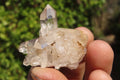 Natural Mixed Quartz Specimens  x 35 From Madagascar - Toprock Gemstones and Minerals 