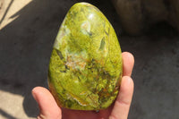 Polished Green Opal Standing Free Forms  x 6 From Antsirabe, Madagascar - Toprock Gemstones and Minerals 
