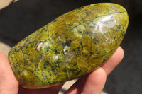 Polished Green Opal Standing Free Forms  x 6 From Antsirabe, Madagascar - Toprock Gemstones and Minerals 