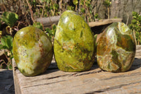Polished Green Opal Standing Free Forms  x 6 From Antsirabe, Madagascar - Toprock Gemstones and Minerals 