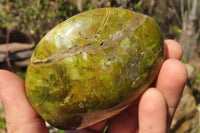 Polished Green Opal Standing Free Forms  x 6 From Antsirabe, Madagascar - Toprock Gemstones and Minerals 