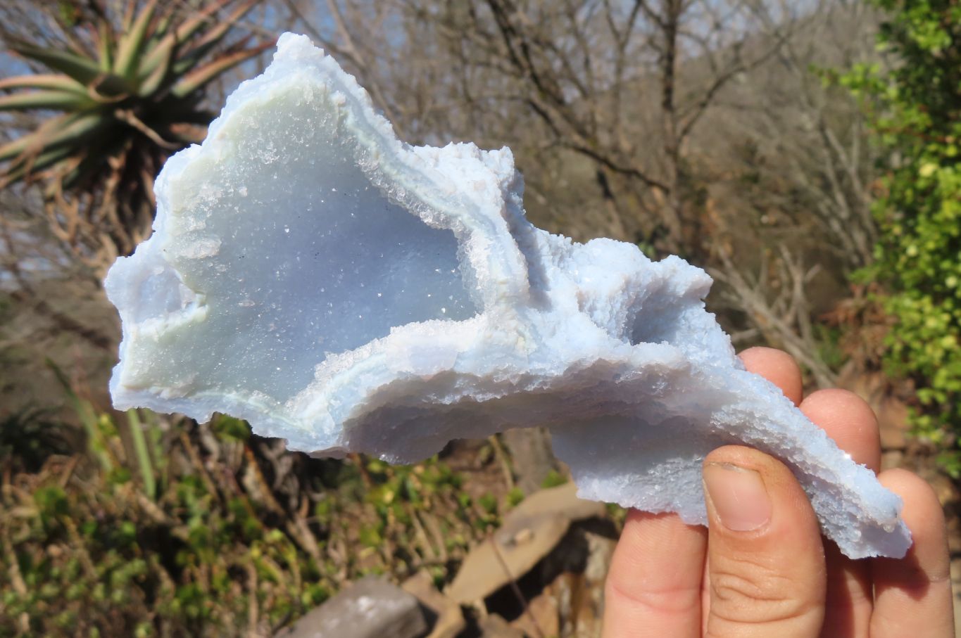 Natural Etched Blue Chalcedony Specimens  x 6 From Nsanje, Malawi - Toprock Gemstones and Minerals 