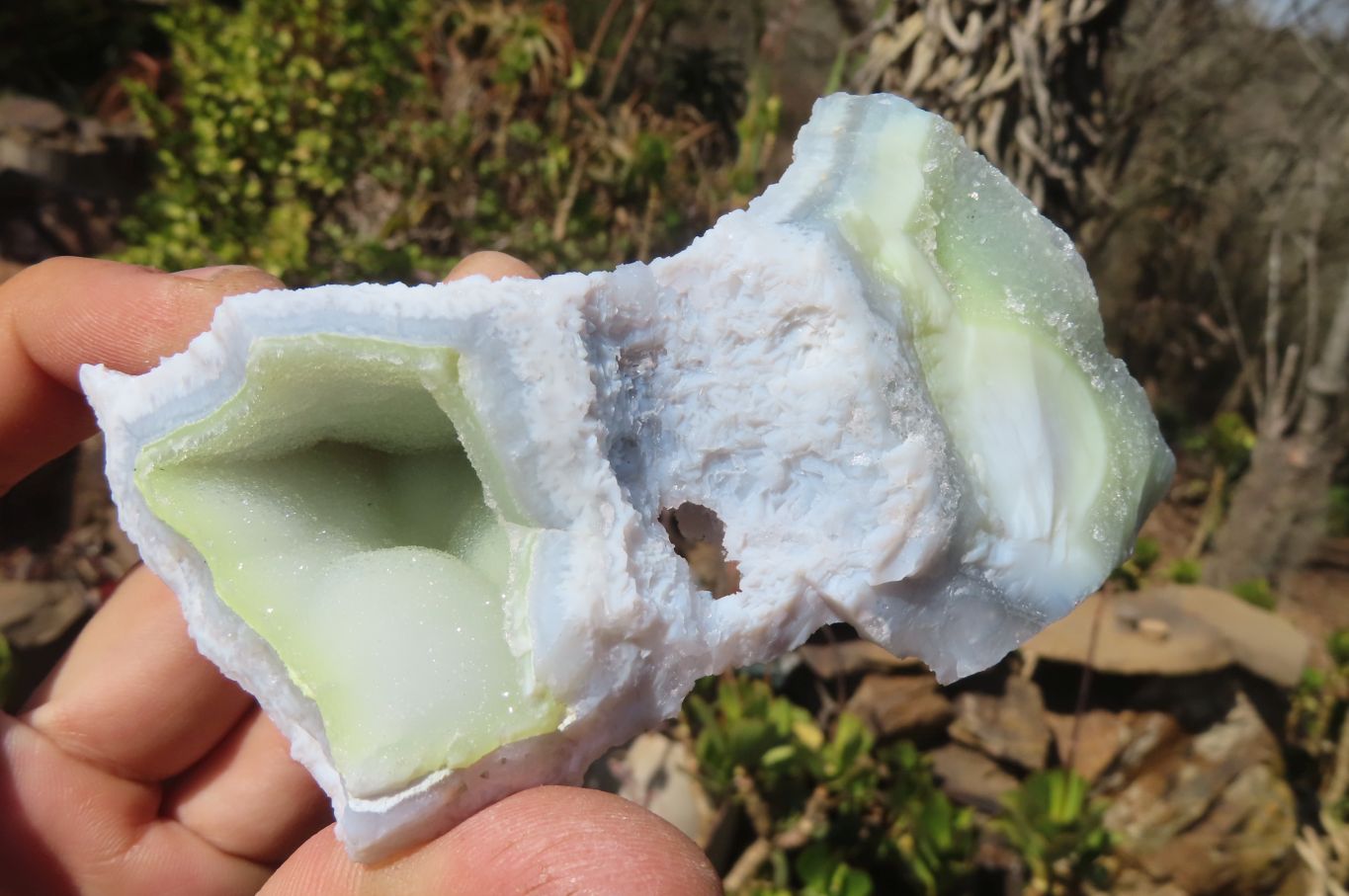 Natural Etched Blue Chalcedony Specimens  x 6 From Nsanje, Malawi - Toprock Gemstones and Minerals 