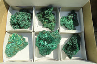 Natural Chatoyant Silky Malachite Specimens  x 6 From Kasompe, Congo - Toprock Gemstones and Minerals 