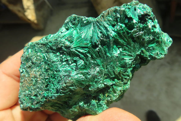 Natural Chatoyant Silky Malachite Specimens  x 6 From Kasompe, Congo - Toprock Gemstones and Minerals 