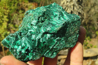 Natural Chatoyant Silky Malachite Specimens  x 6 From Kasompe, Congo - Toprock Gemstones and Minerals 