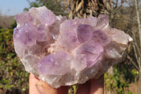 Natural Jacaranda Amethyst Clusters x 3 From Mumbwa, Zambia - Toprock Gemstones and Minerals 