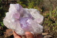Natural Jacaranda Amethyst Clusters x 3 From Mumbwa, Zambia - Toprock Gemstones and Minerals 