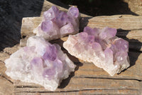 Natural Jacaranda Amethyst Clusters x 3 From Mumbwa, Zambia - Toprock Gemstones and Minerals 