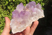 Natural Jacaranda Amethyst Clusters x 3 From Mumbwa, Zambia - Toprock Gemstones and Minerals 