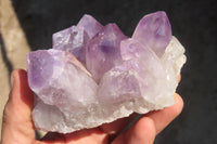 Natural Jacaranda Amethyst Clusters x 3 From Mumbwa, Zambia - Toprock Gemstones and Minerals 