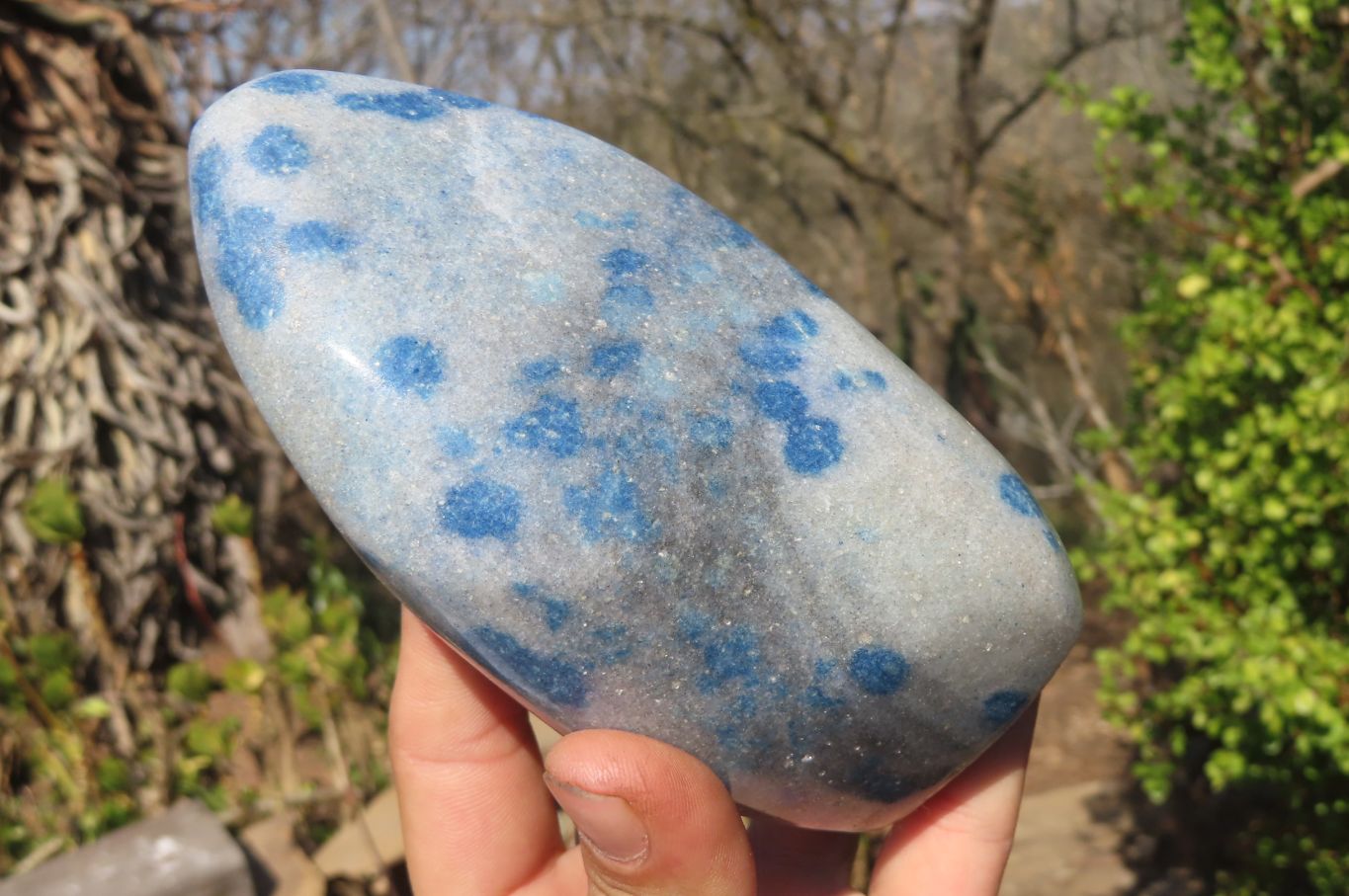 Polished Blue Spotted Spinel Quartz Standing Free Forms x 2 From Madagascar - Toprock Gemstones and Minerals 
