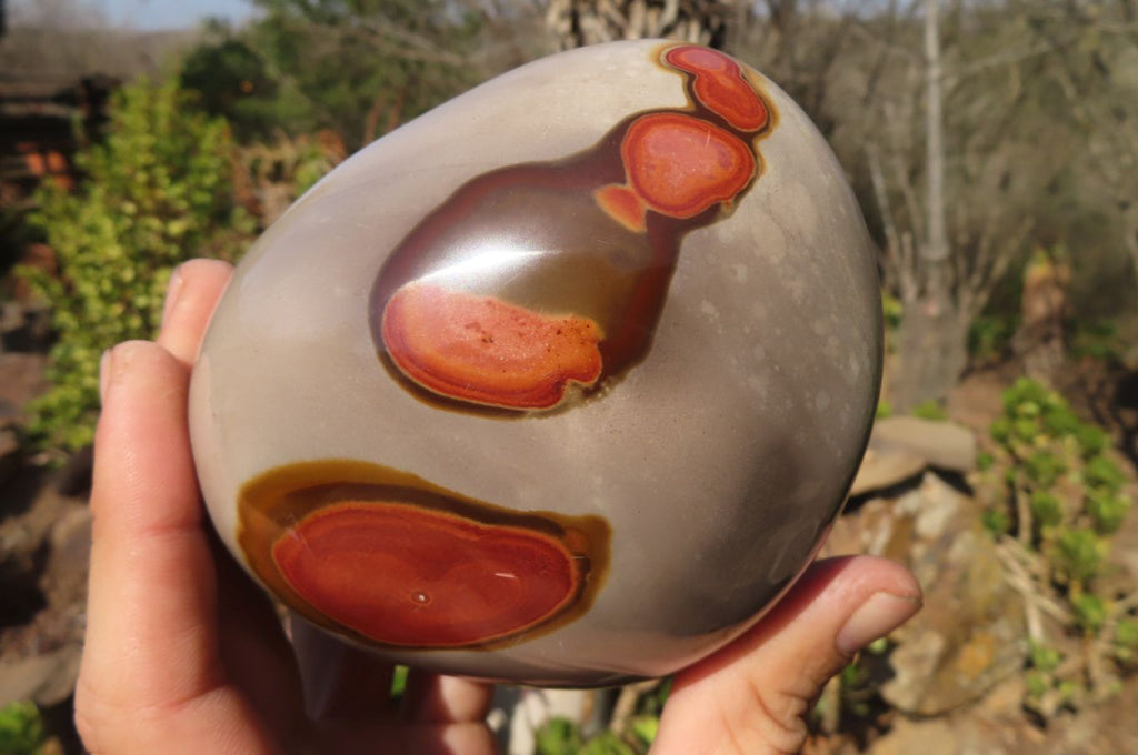 Polished Polychrome Jasper Standing Free Forms  x 2 From Mahajanga, Madagascar - Toprock Gemstones and Minerals 