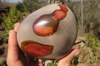 Polished Polychrome Jasper Standing Free Forms  x 2 From Mahajanga, Madagascar - Toprock Gemstones and Minerals 