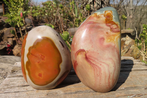 Polished Polychrome Jasper Standing Free Forms  x 2 From Mahajanga, Madagascar - Toprock Gemstones and Minerals 