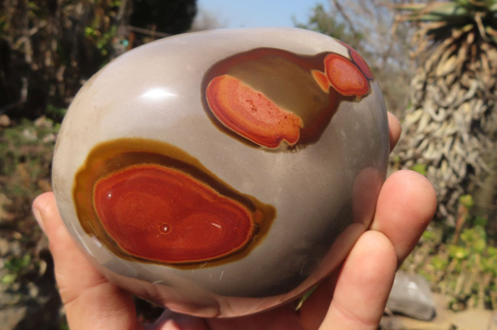 Polished Polychrome Jasper Standing Free Forms  x 2 From Mahajanga, Madagascar - Toprock Gemstones and Minerals 