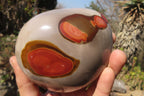 Polished Polychrome Jasper Standing Free Forms  x 2 From Mahajanga, Madagascar - Toprock Gemstones and Minerals 