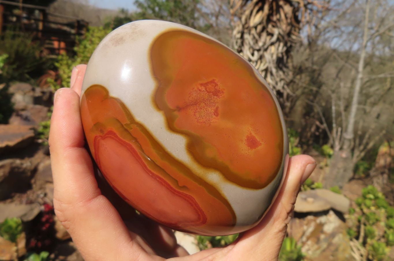 Polished Polychrome Jasper Standing Free Forms  x 2 From Mahajanga, Madagascar - Toprock Gemstones and Minerals 