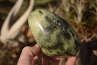 Polished Leopard Stone Free Forms  x 4 From Zimbabwe - Toprock Gemstones and Minerals 