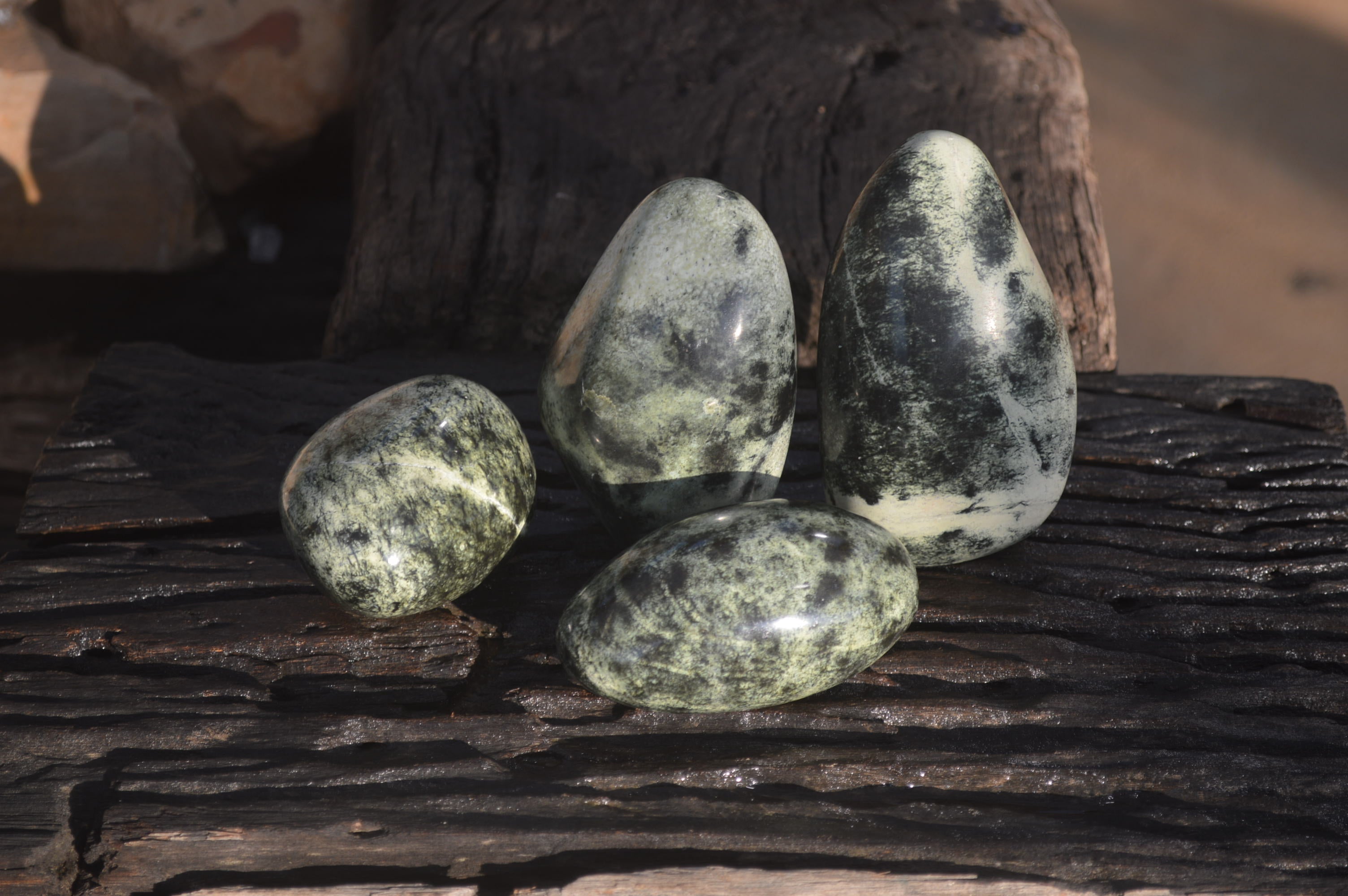 Polished Leopard Stone Free Forms  x 4 From Zimbabwe - Toprock Gemstones and Minerals 