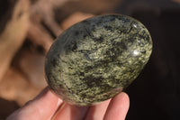 Polished Leopard Stone Free Forms  x 4 From Zimbabwe - Toprock Gemstones and Minerals 