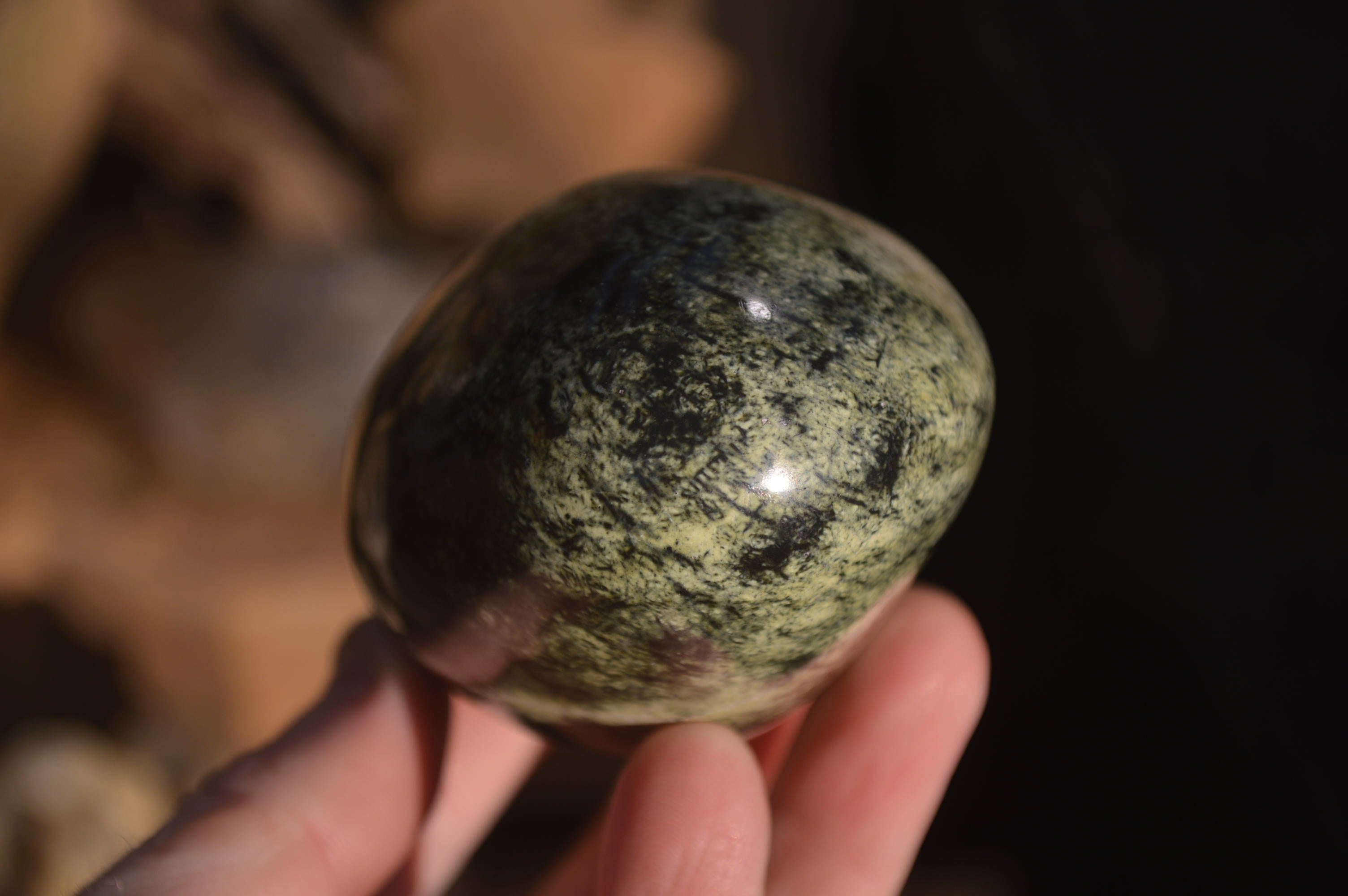 Polished Leopard Stone Free Forms  x 4 From Zimbabwe - Toprock Gemstones and Minerals 