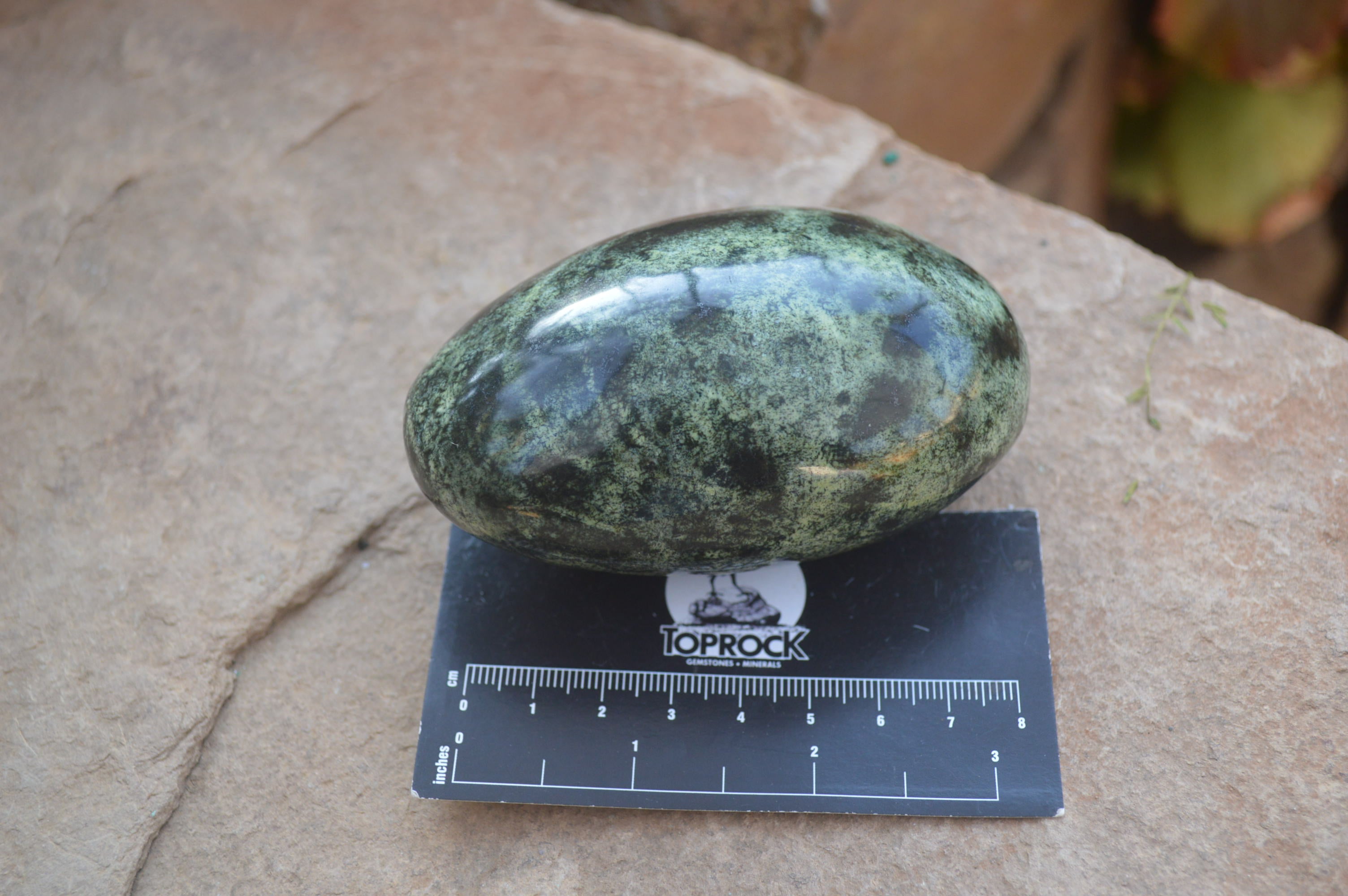 Polished Leopard Stone Free Forms  x 4 From Zimbabwe - Toprock Gemstones and Minerals 
