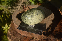 Polished Leopard Stone Free Forms  x 4 From Zimbabwe - Toprock Gemstones and Minerals 