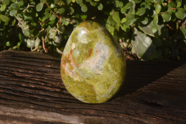 Polished Green Opal Standing Free Form  x 1 From Antsirabe, Madagascar - Toprock Gemstones and Minerals 