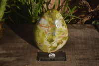 Polished Green Opal Standing Free Form  x 1 From Antsirabe, Madagascar - Toprock Gemstones and Minerals 