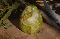Polished Green Opal Standing Free Form  x 1 From Antsirabe, Madagascar - Toprock Gemstones and Minerals 