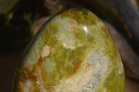 Polished Green Opal Standing Free Form  x 1 From Antsirabe, Madagascar - Toprock Gemstones and Minerals 