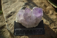 Natural Jacaranda Amethyst Clusters x 6 From Mumbwa, Zambia - Toprock Gemstones and Minerals 