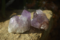 Natural Jacaranda Amethyst Clusters x 6 From Mumbwa, Zambia - Toprock Gemstones and Minerals 