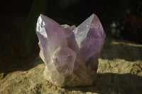 Natural Jacaranda Amethyst Clusters x 6 From Mumbwa, Zambia - Toprock Gemstones and Minerals 