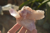 Natural Jacaranda Amethyst Clusters x 6 From Mumbwa, Zambia - Toprock Gemstones and Minerals 