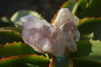 Natural Jacaranda Amethyst Clusters x 6 From Mumbwa, Zambia - Toprock Gemstones and Minerals 