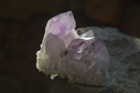 Natural Jacaranda Amethyst Clusters x 6 From Mumbwa, Zambia - Toprock Gemstones and Minerals 