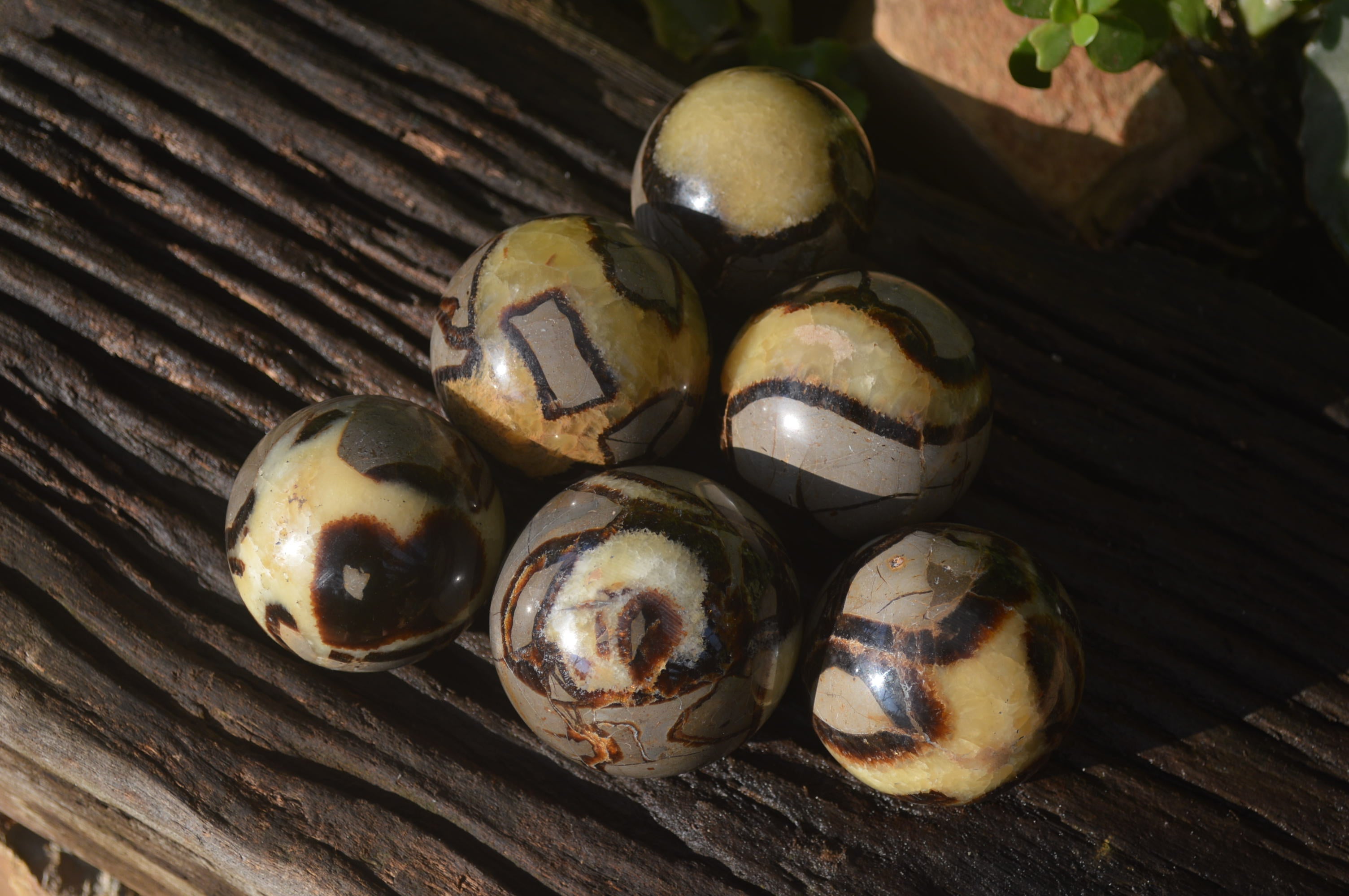 Polished Septeria (Calcite & Aragonite) Spheres x 6 From Madagascar - Toprock Gemstones and Minerals 
