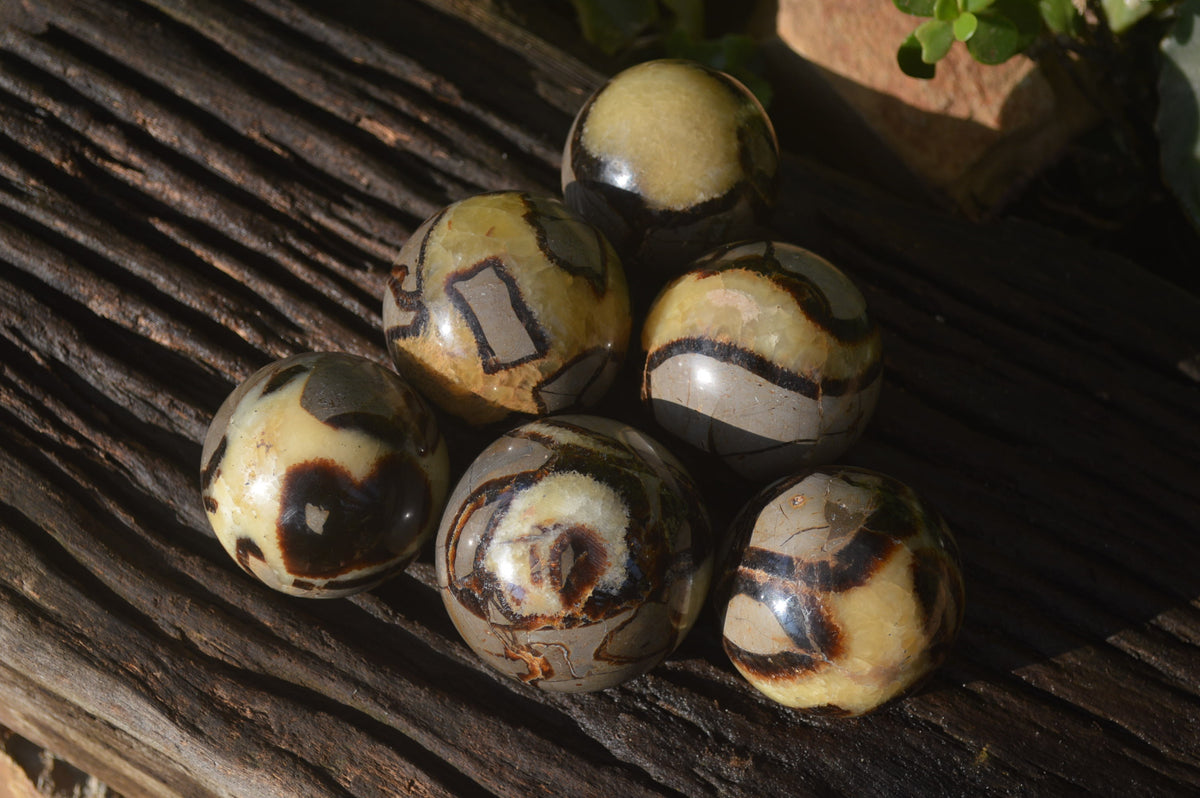 Polished Septeria (Calcite & Aragonite) Spheres x 6 From Madagascar - Toprock Gemstones and Minerals 