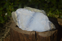 Natural Blue Lace Agate Geode Specimens  x 4 From Nsanje, Malawi - Toprock Gemstones and Minerals 