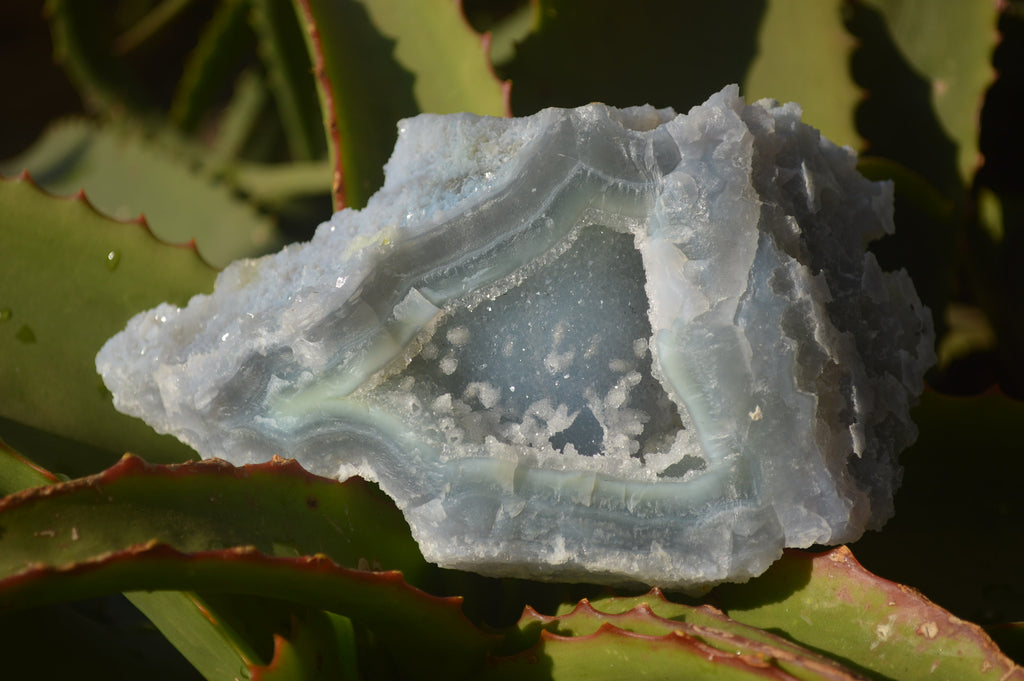 Natural Etched Blue Chalcedony Specimens  x 3 From Nsanje, Malawi - Toprock Gemstones and Minerals 
