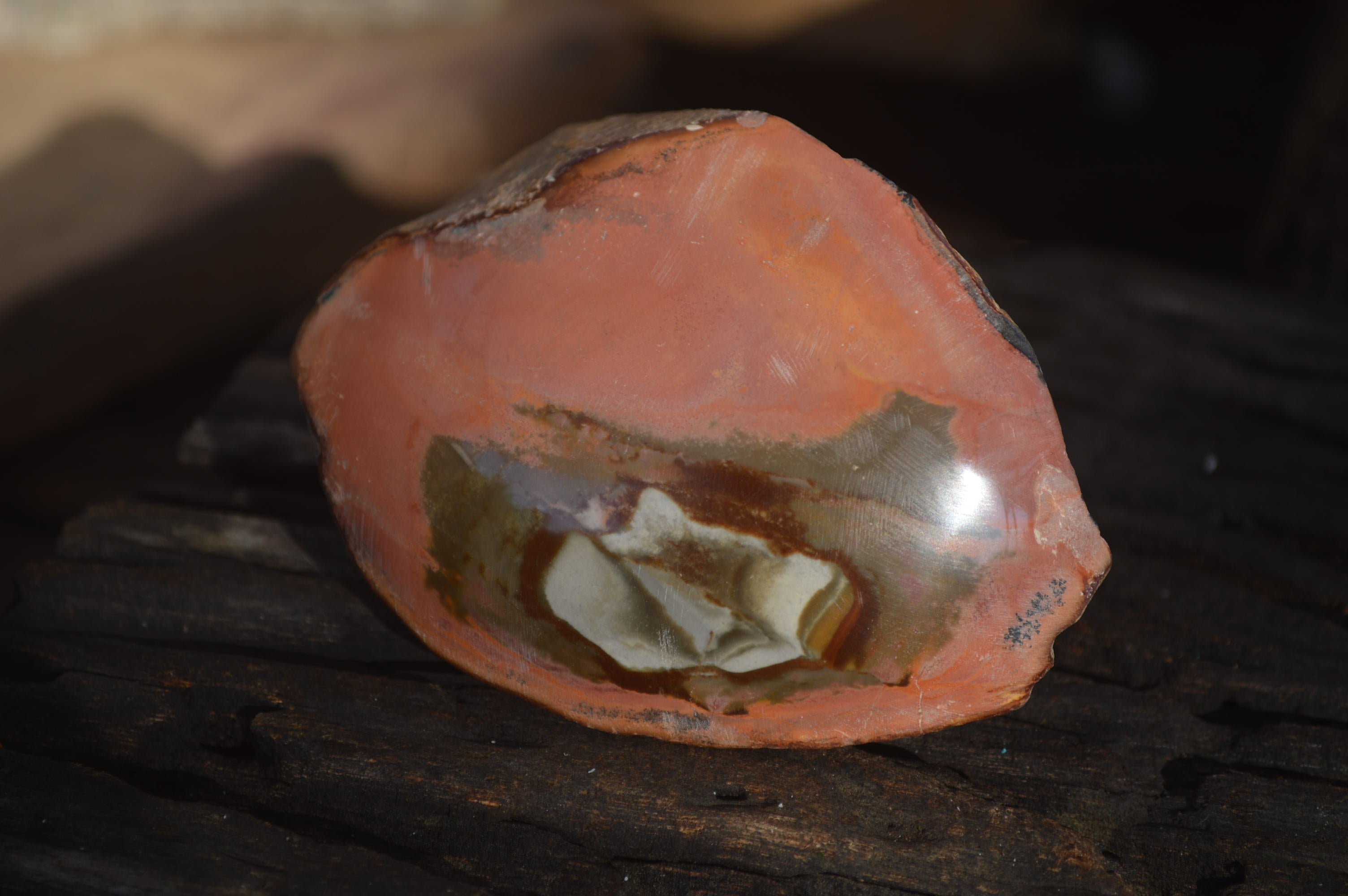 Polished One Side Polished Polychrome Jasper Nodules  x 6 From Mahajanga, Madagascar - Toprock Gemstones and Minerals 