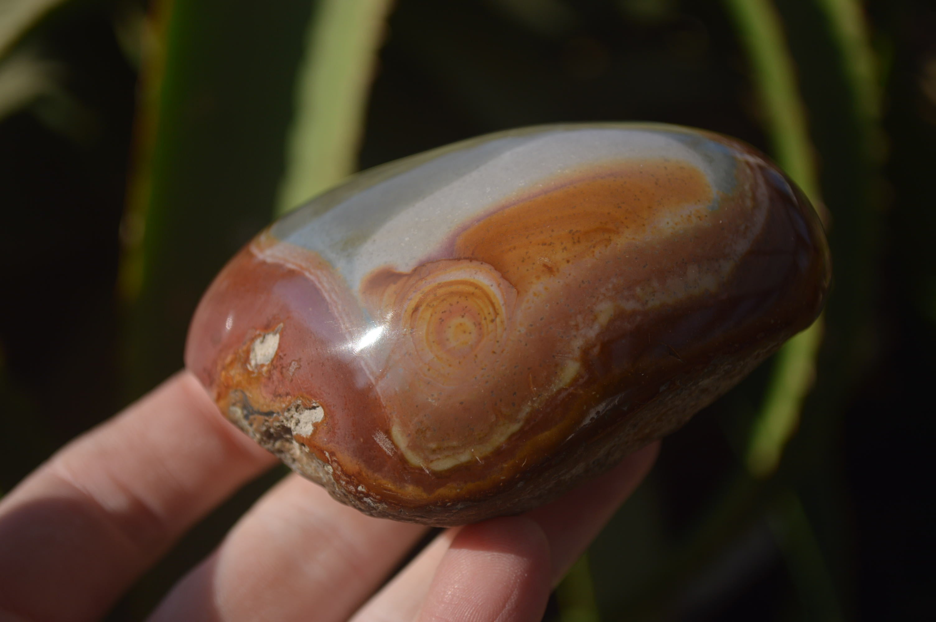 Polished One Side Polished Polychrome Jasper Nodules  x 6 From Mahajanga, Madagascar - Toprock Gemstones and Minerals 