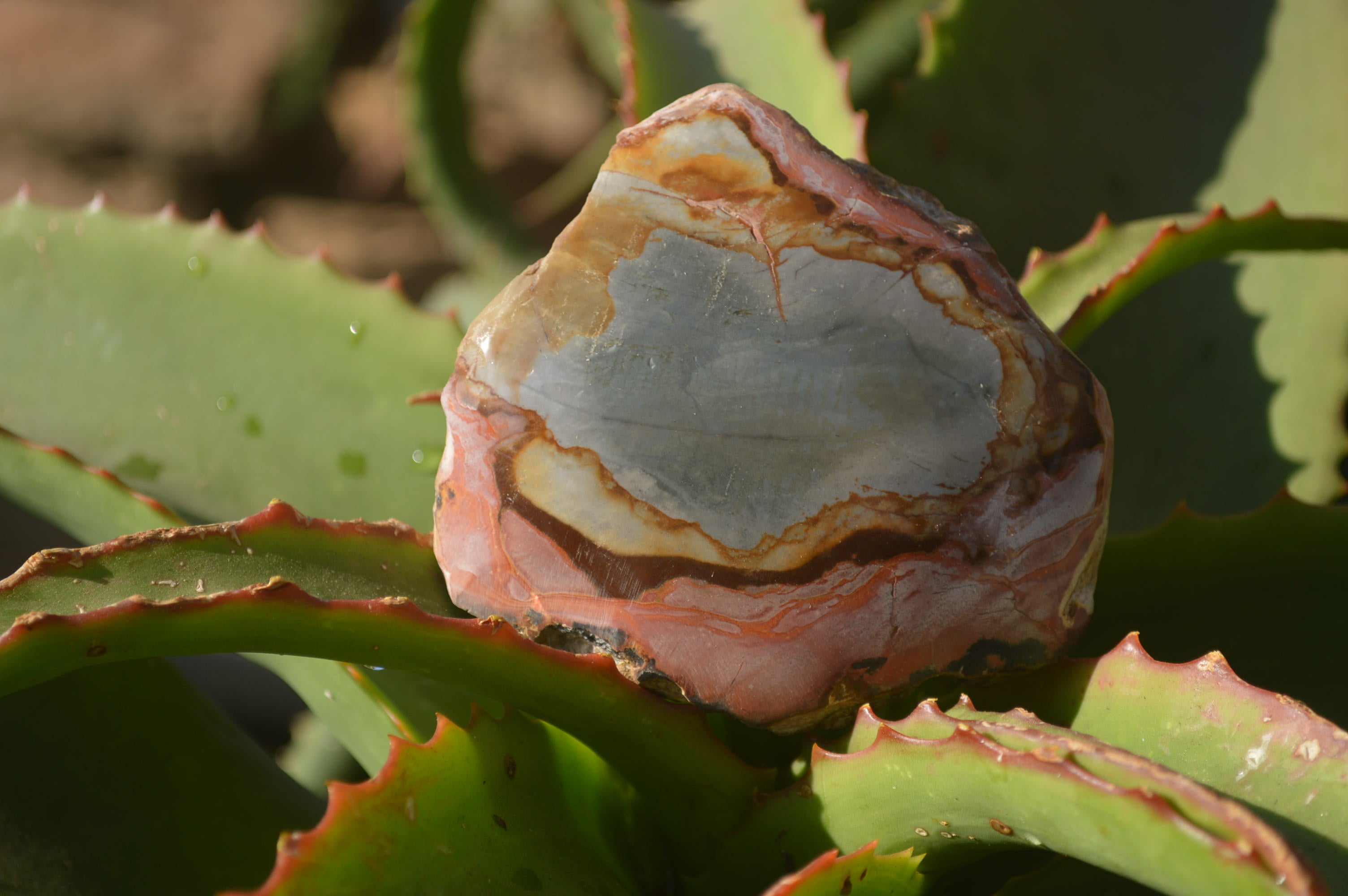 Polished One Side Polished Polychrome Jasper Nodules  x 6 From Mahajanga, Madagascar - Toprock Gemstones and Minerals 