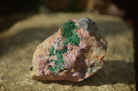 Natural Pink Salrose Cobaltion Dolomite Specimens x 6 From Kakanda, Congo - Toprock Gemstones and Minerals 