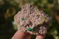 Natural Pink Salrose Cobaltion Dolomite Specimens x 6 From Kakanda, Congo - Toprock Gemstones and Minerals 