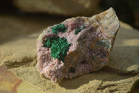 Natural Pink Salrose Cobaltion Dolomite Specimens x 6 From Kakanda, Congo - Toprock Gemstones and Minerals 