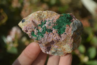 Natural Pink Salrose Cobaltion Dolomite Specimens x 6 From Kakanda, Congo - Toprock Gemstones and Minerals 