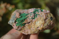 Natural Pink Salrose Cobaltion Dolomite Specimens x 6 From Kakanda, Congo - Toprock Gemstones and Minerals 